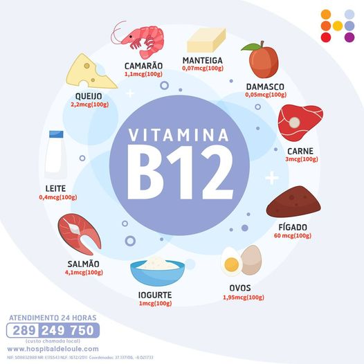 A importância da vitamina B12